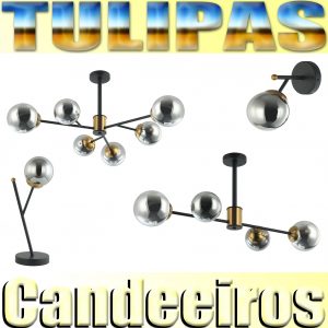 CANDEEIROS TULIPAS
